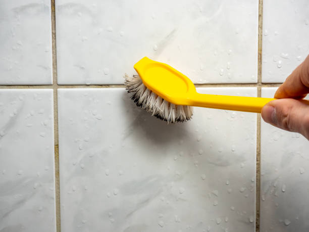 Best Mold Removal Company Near Me  in Woodland Beach, MI