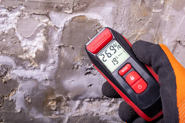 Trusted Woodland Beach, MI Mold Removal Experts