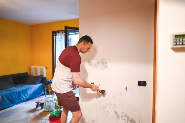 Best Water Damage Restoration  in Woodland Beach, MI