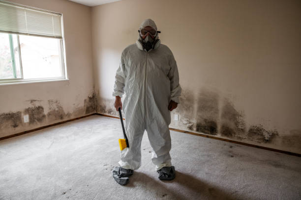 Best Mold Remediation Services  in Woodland Beach, MI